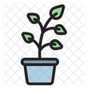 Growing Plant  Icon