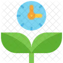 Growing Plant Time Icon