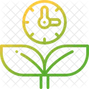 Growing Plant Time Icon