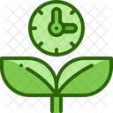 Growing plant  Icon