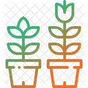 Growing Flower Spring Icon