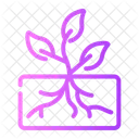 Growing Plant  Icon