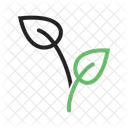 Growing Plant Icon