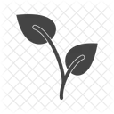 Growing Plant Icon