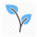 Growing Plant Icon