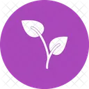 Growing Plant Icon
