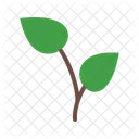 Growing Plant Icon