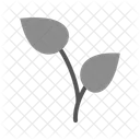 Growing Plant Icon