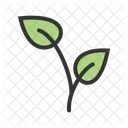 Growing Plant Icon