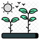 Mud Plant Sprout Growing Plant Icon