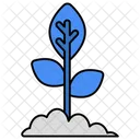 Growing Plant  Icon