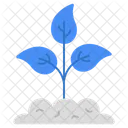 Mud Plant Sprout Growing Plant Icon