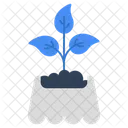 Mud Plant Sprout Growing Plant Icon