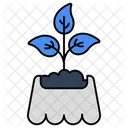 Mud Plant Sprout Growing Plant Icon