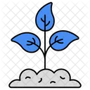 Growing Plant  Icon