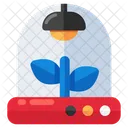 Mud Plant Sprout Growing Plant Icon