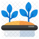 Growing Plant  Icon