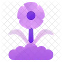 Growing Plant Plant Nature Icon