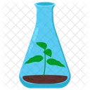 Growing Plant In Flask Flask Test Tube Icon