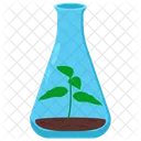 Growing Plant In Flask Flask Test Tube Icon