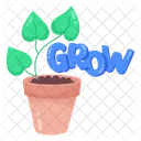 Growing Plant  Icon