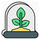 Growing Plants  Icon