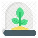 Growing Plants  Icon