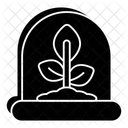 Growing Plants  Icon