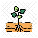 Growing Plant Color Icon