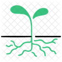 Root Growing Plant Icon