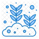Growing Seed  Icon