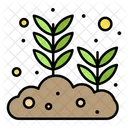 Growing Seed  Icon