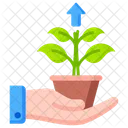 Growth Sprout Planting Icon