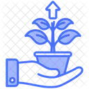 Growth Sprout Planting Icon