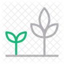 Growth Plant Green Icon