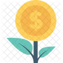 Money Plant Growth Icon