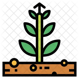 Growth  Icon