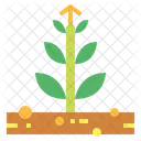 Growth  Icon