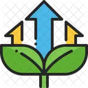Growth Plant Growing Icon