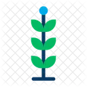 Leaf Grow Plant Icon