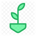 Plant Grow Plant Leaf Icon