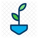 Plant Grow Plant Leaf Icon