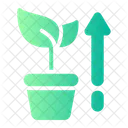 Growth Investment Plant Icon