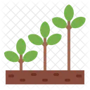 Growth Plant Tree Icon