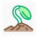 Soy Growth Bean Icon
