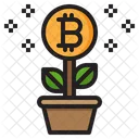 Growth Bitcoin  Icon