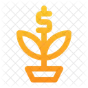 Money Plant Growth Investment Icon