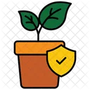 Growth  Icon