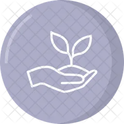 Growth  Icon