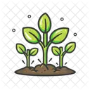 Business Graph Chart Icon